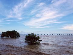 -宝安西湾红树林湿地公园