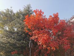 -北京工商大学(良乡校区)