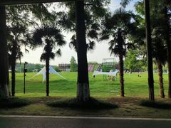 -黄海国家森林公园