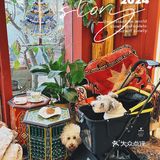 回龙观！首开LONG街最值得打卡的咖啡店