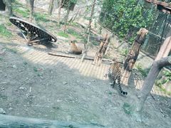 -福州动物园