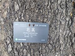 -石家庄市植物园