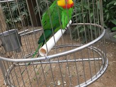 -南宫五洲植物乐园