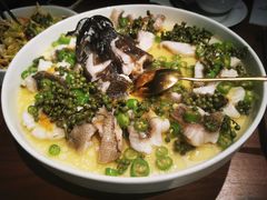 青青椒麻龙胆鱼-CHIC1699远洋私厨