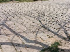 -苏州上方山国家森林公园