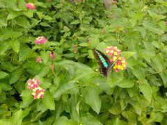 -奉浦四季生态园