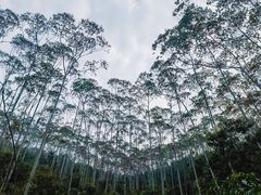 -南海湾森林生态园