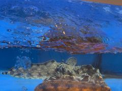 -丁字口海鲜热炒·烧烤大排档