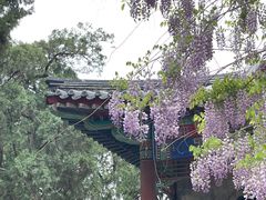 -北京市劳动人民文化宫(太庙)