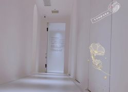 -紫御国际抗衰ZOE ANTI AGING