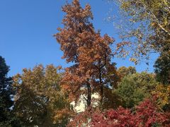 -南京东郊国宾馆