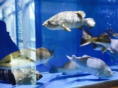 -春满园·早茶·粤菜·宴会(前海店)