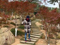 -广州市帽峰山景区