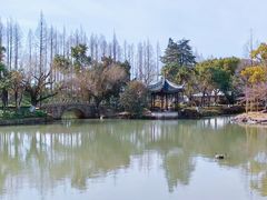 -瀛洲公园