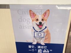 -宠颐生宠物医院外科·内科·皮肤科·影像科(石龙店)