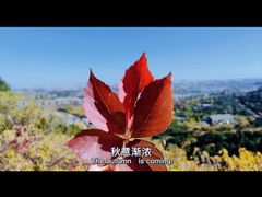 -北京西山国家森林公园