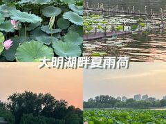 -济南大明湖景区