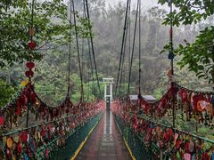 -西双版纳原始森林公园