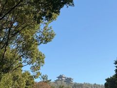 -呼吸森林·生态农庄农家乐私房菜