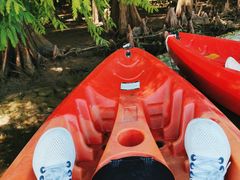 -上海海湾国家森林公园