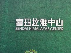 -证大喜玛拉雅中心