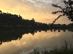 -南国桃园旅游度假区