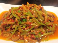 -陈麻婆豆腐总店