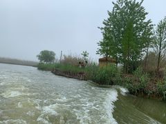 -泗洪洪泽湖湿地景区