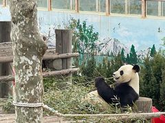 -西霞口神雕山野生动物世界