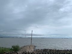 -上海滨江森林公园