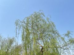 -堤角公园