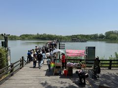 -溱湖国家湿地公园