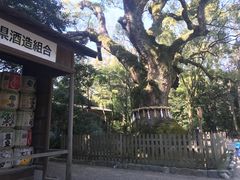 -热田神宫
