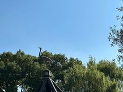 -上海醉白池公园