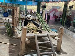 -栾川竹海野生动物园