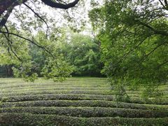 -敬亭山风景名胜区