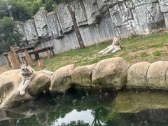 -常州淹城野生动物世界