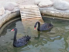 android_upload_pic-北京市海淀外国语实验学校