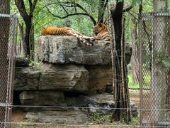 -秦皇岛野生动物园