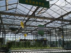 -晶宝温泉农庄