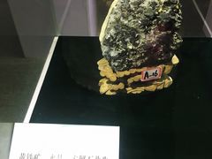 -中国第四纪冰川遗迹陈列馆