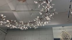 -潘多拉Hairsalon