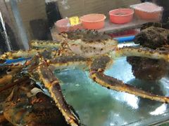 -寻味顺德·南记酒家·传统顺德菜·鱼生(广源路店)