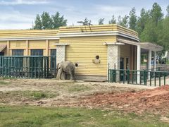 -哈尔滨北方森林动物园