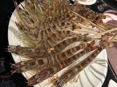 -辉哥火锅(虹桥路店)