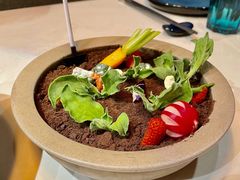 盆栽色拉-荟廷·晶萃(陆家嘴尚悦湾店)