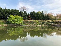 -嘉定紫藤园