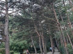 -帽儿山国家森林公园