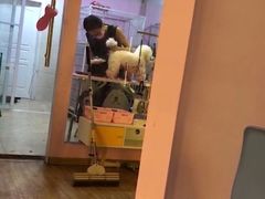 -小呆的宠物店·宠物售卖·宠物寄养(城西店)