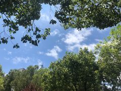 -苏州城市学院